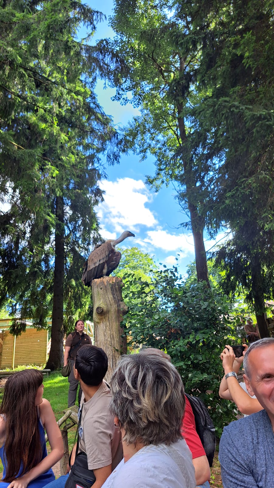 Greifenwarte Falknerei am Rennsteig