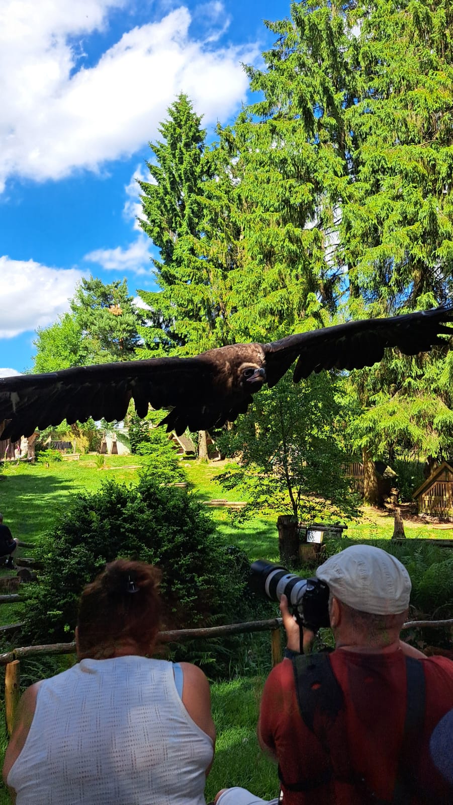 Greifenwarte Falknerei am Rennsteig