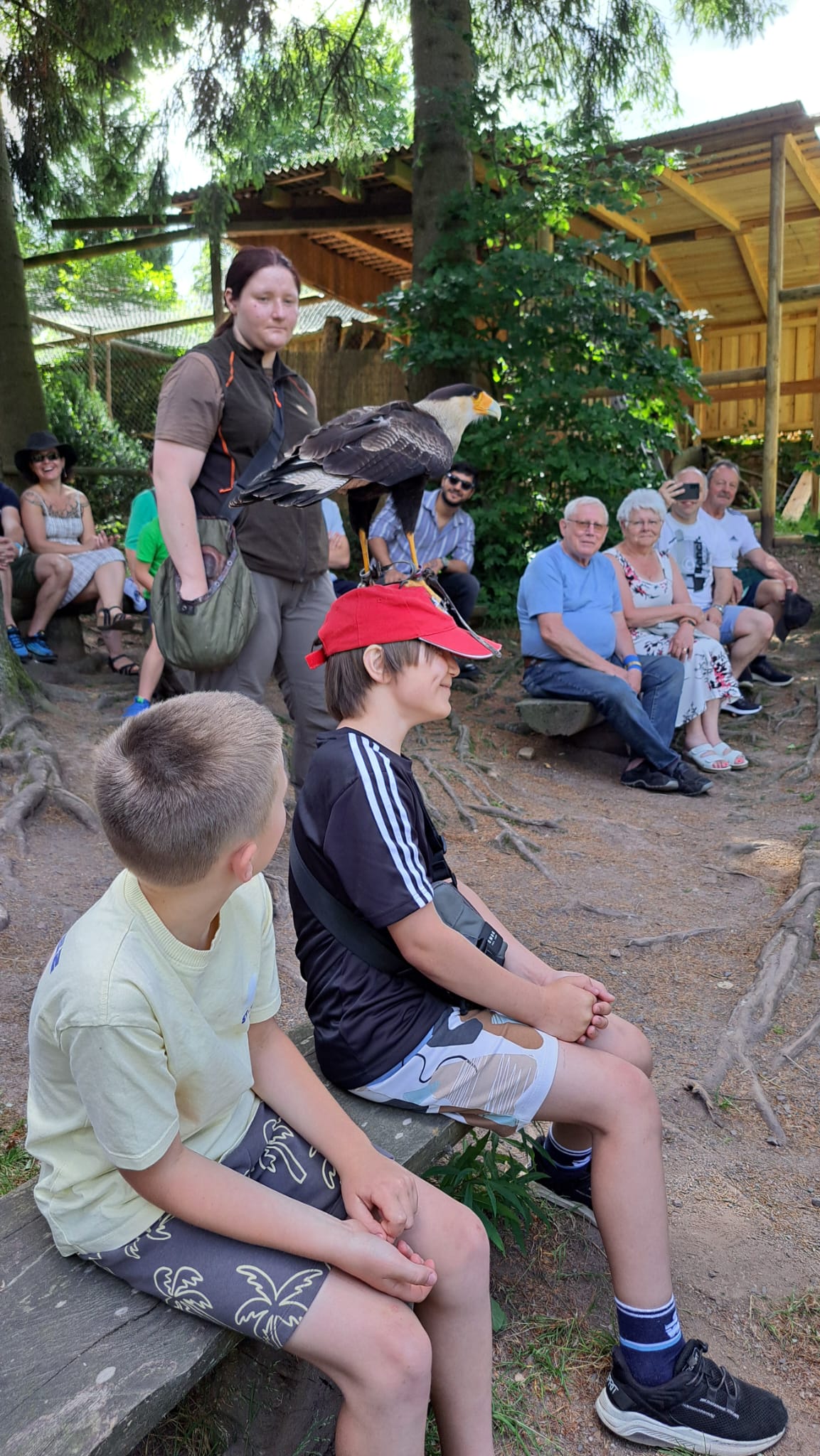 Greifenwarte Falknerei am Rennsteig