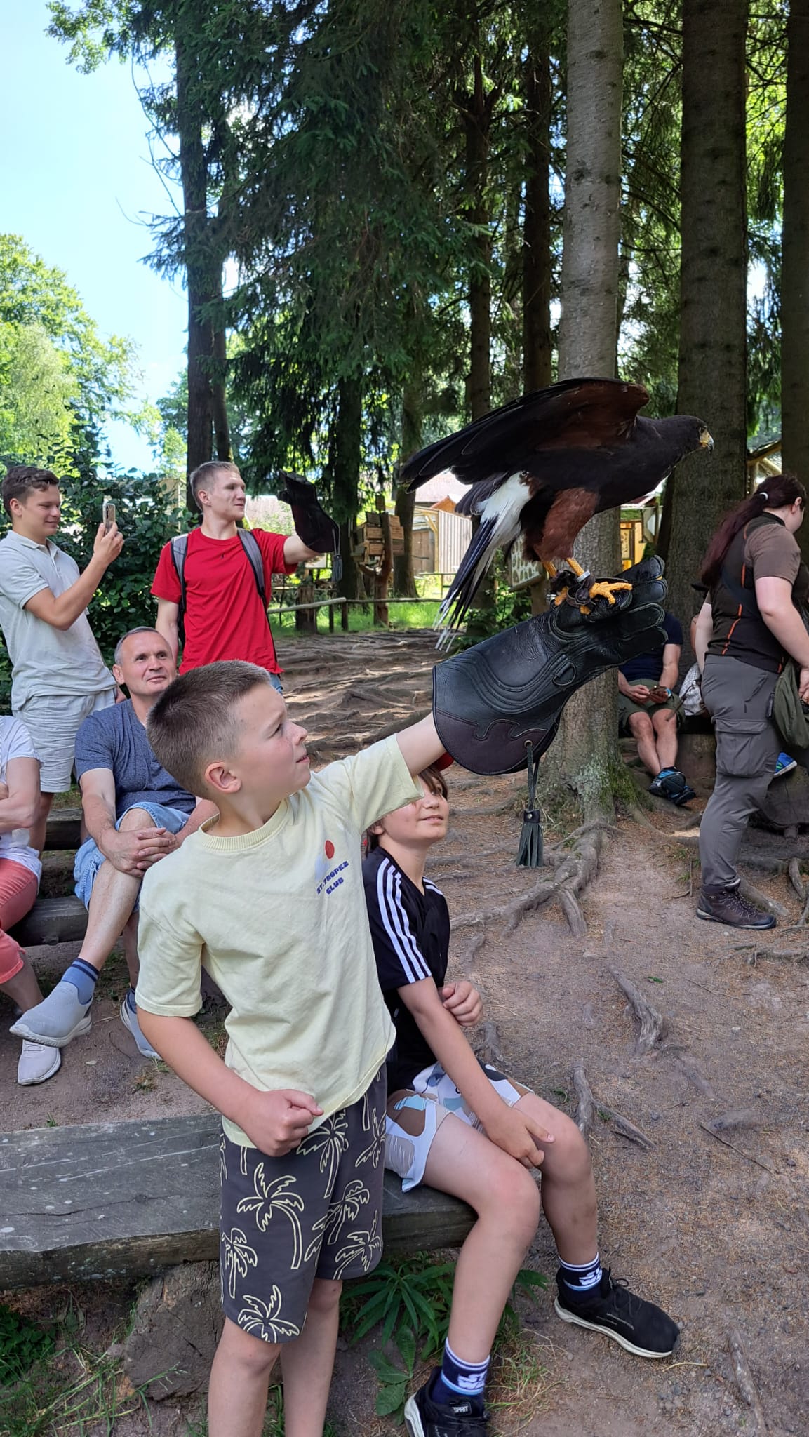 Greifenwarte Falknerei am Rennsteig