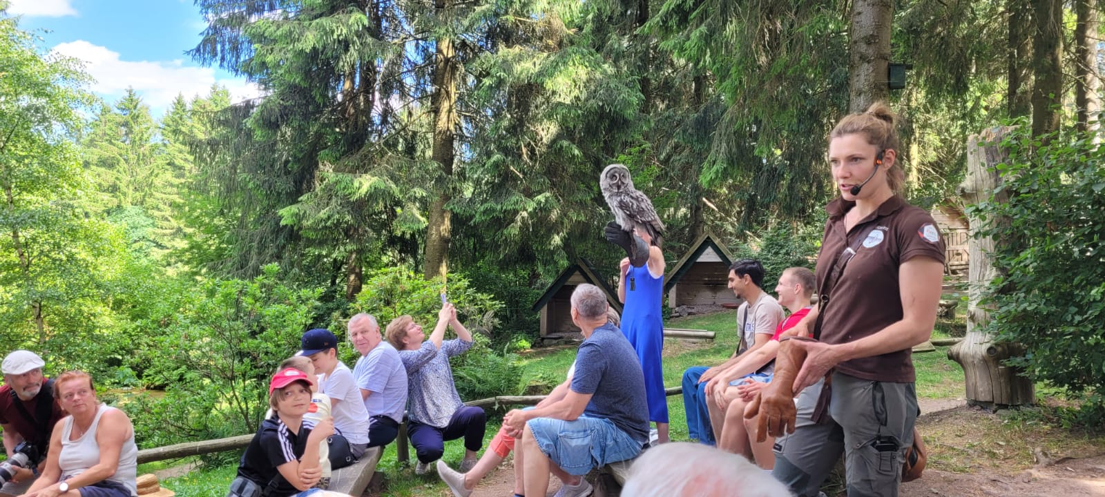 Greifenwarte Falknerei am Rennsteig