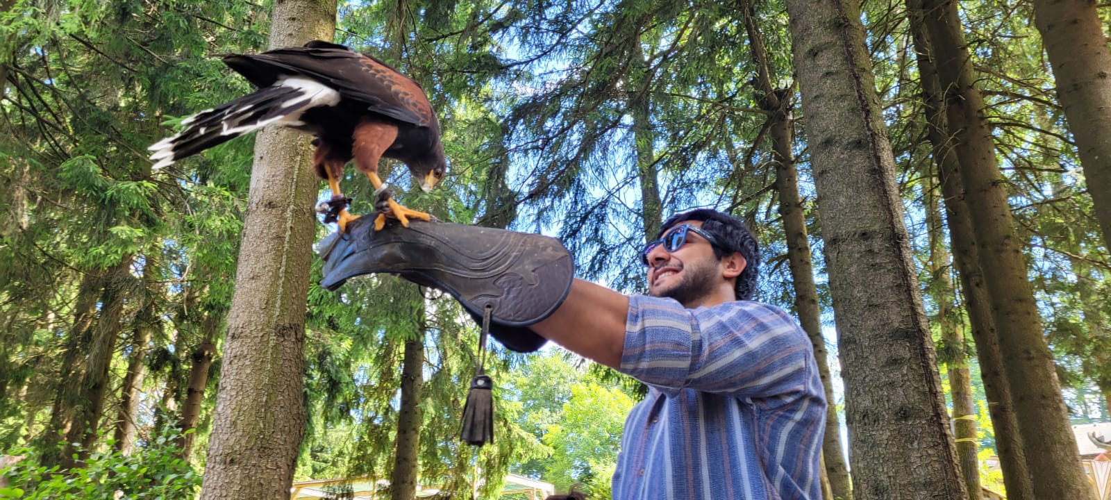 Greifenwarte Falknerei am Rennsteig